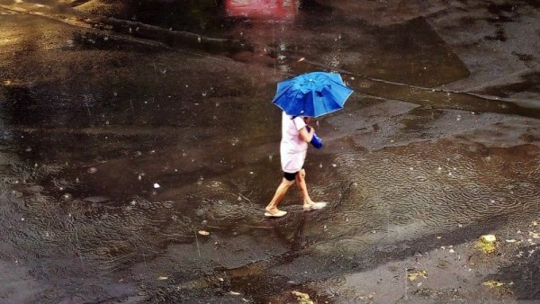 Pejalan kaki menggunakan payung saat hujan mengguyur Kota Surabaya, Rabu (11/1/2023). ANTARA/Rifai/am.