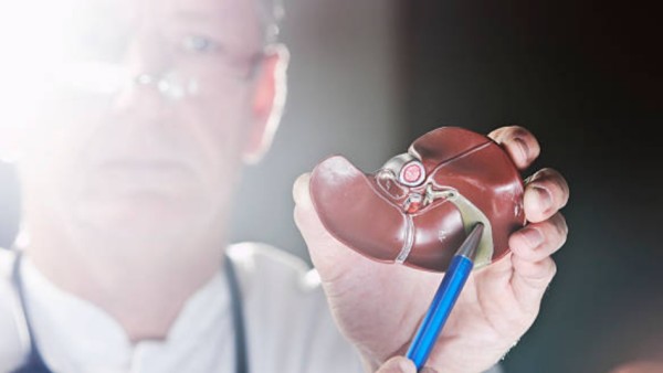 tim peneliti dari UCLA Health Jonsson Comprehensive Cancer Center akhirnya mengungkap salah satu alasan utamanya: protein bernama Galectin-1 (Gal-1).