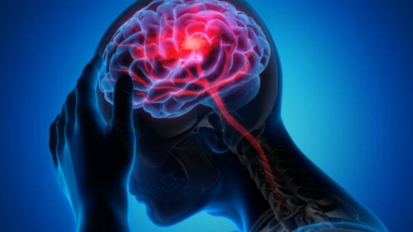 tim peneliti dari Osaka Metropolitan University baru saja bikin gebrakan! Dipimpin oleh Associate Professor Hidemitsu Nakajima dari Fakultas Kedokteran Hewan, mereka berhasil mengembangkan obat yang bisa mencegah kematian sel-sel otak akibat stroke.