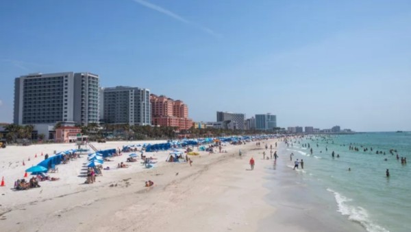 Florida di bulan Oktober adalah surga bagi pencinta kuliner. Ada festival makanan dan anggur seperti Naples Stone Crab Festival (24–26 Oktober), Amelia Island Cookout (16–19 Oktober), dan South Beach Seafood Festival di Miami (22–25 Oktober).