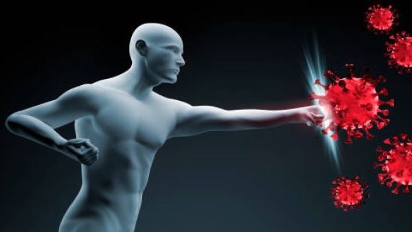 Penelitian terbaru membuka peluang terapi yang dapat memprogram ulang sistem imun agar berhenti menyerang tubuh sendiri.