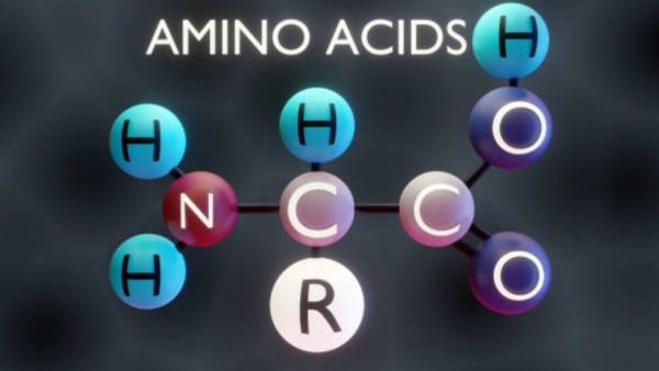 Peneliti menemukan bahwa pengaturan dua asam amino tertentu bisa meniru efek tubuh saat kedinginan dan membakar lemak lebih cepat. (Foto: iStockphoto)