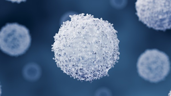 Ilustrasi T cells menyerang sel parasit Toxoplasma gondii, menyoroti cara sel kekebalan otak melindungi tubuh melalui mekanisme self-destruction.